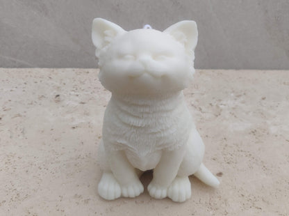 Chaton